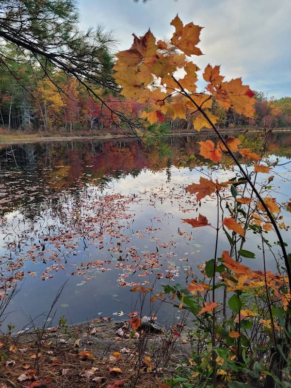 Fogg Hill Conservation Area Parking Lot - Image 2
