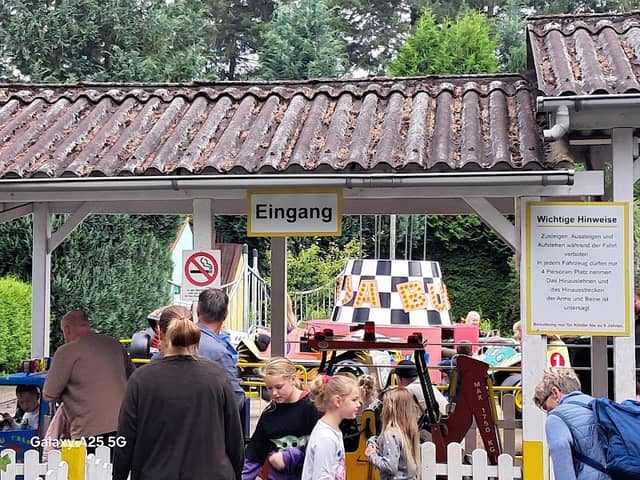 FKF-Baum im Rasti-Land - Image 1