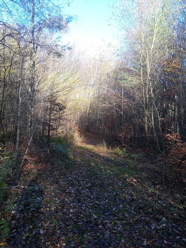 Przełęcz Rumska - Image 1