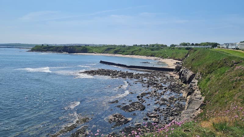 Berwick Beach / Greens' Harbour - Image 2