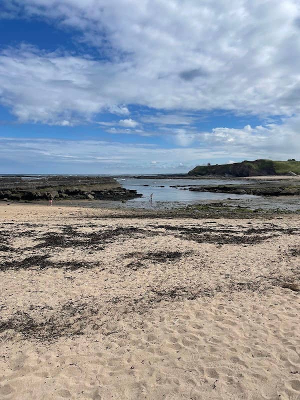 Berwick Beach / Greens' Harbour - Image 3