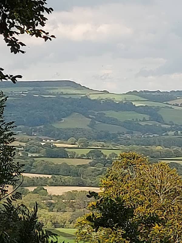 National Trust - Walton Hill - Image 2