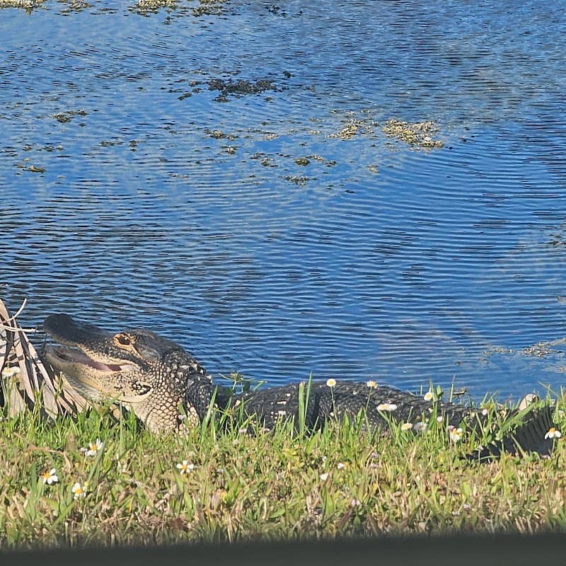 Savannas Recreation Park - Image 2