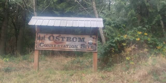 Ostrom Conservation Site - Image 2