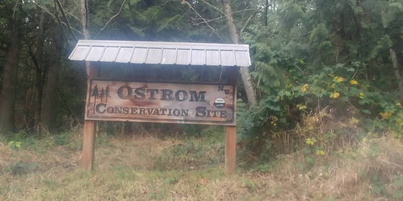 Ostrom Conservation Site - Image 1