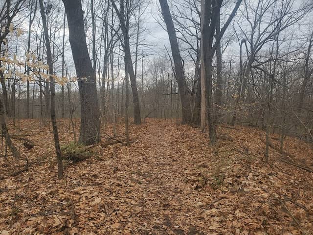 Mill Creek park - Image 1