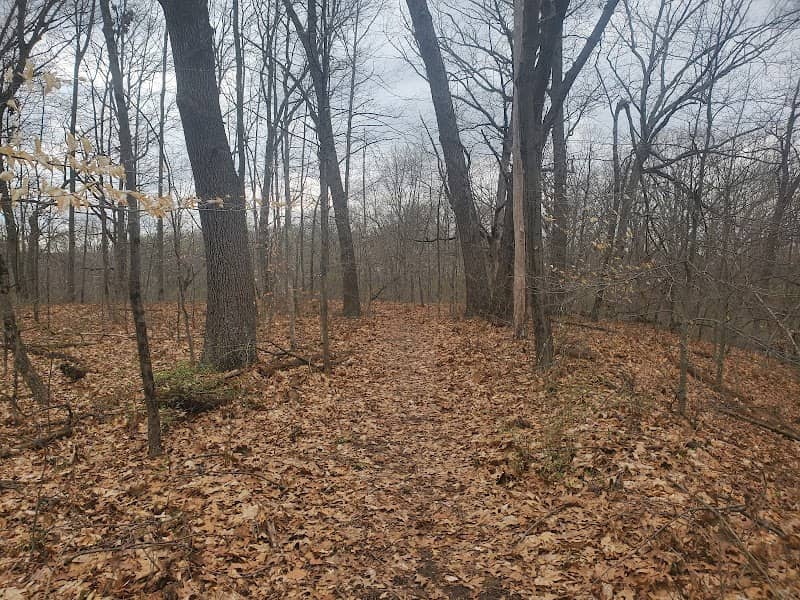 Mill Creek park - Image 1