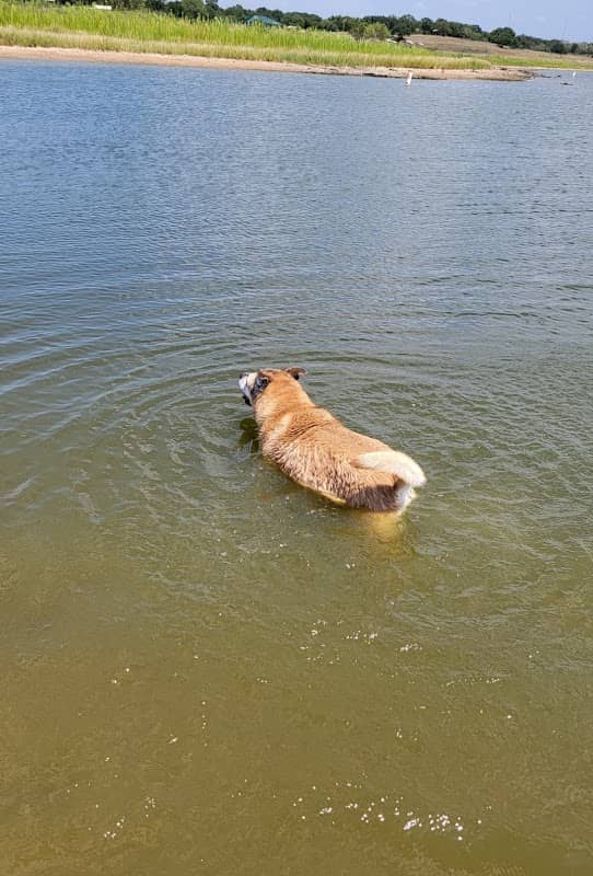 Proctor Lake Park - Image 1