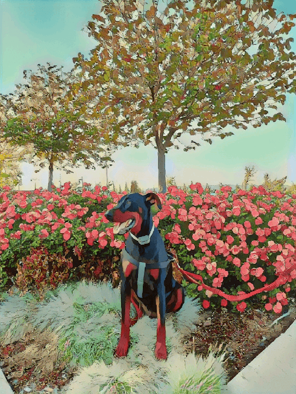 Large Dog Park | Cordelia Community Park, - Image 1