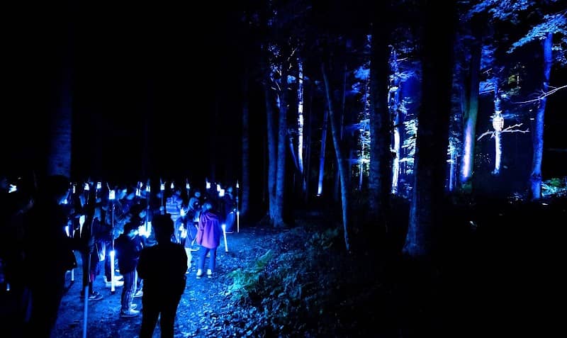 Lake Akan Forest Night Walk "Kamui Lumina" - Image 1