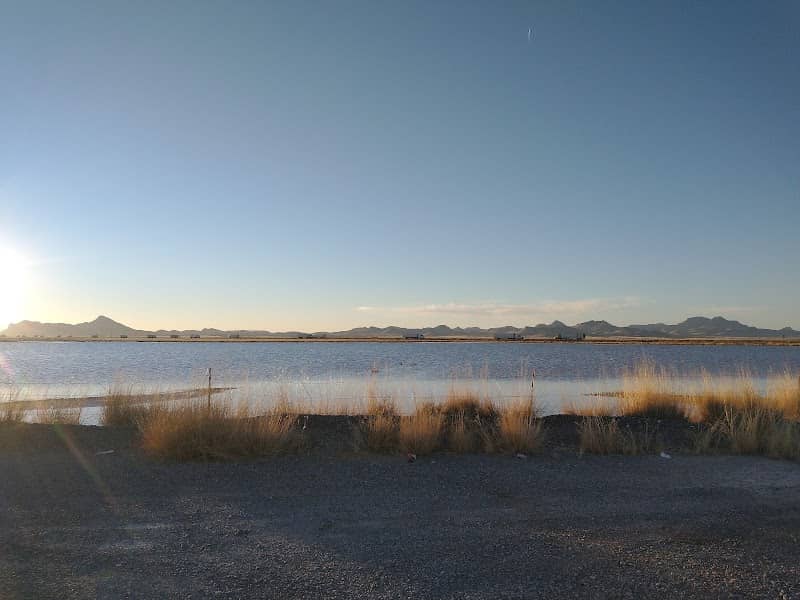 South Alkali Flats Duckpond - Image 1