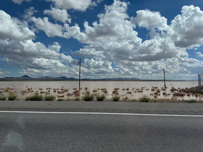 South Alkali Flats Duckpond - Image 3