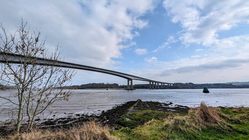 Bay Road Park Local Nature Reserve - Image 2
