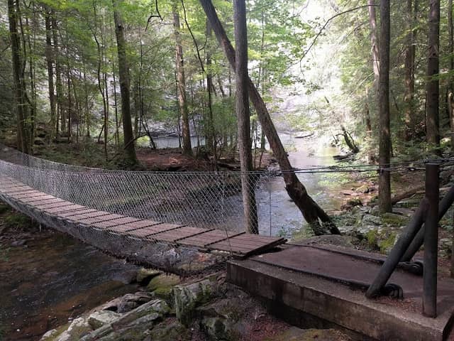 Foster Falls Recreation Area - Image 2