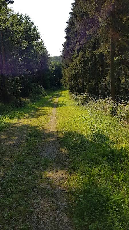 Klępińska Góra (Mlima Ugenabuga) 121,2m - Image 1