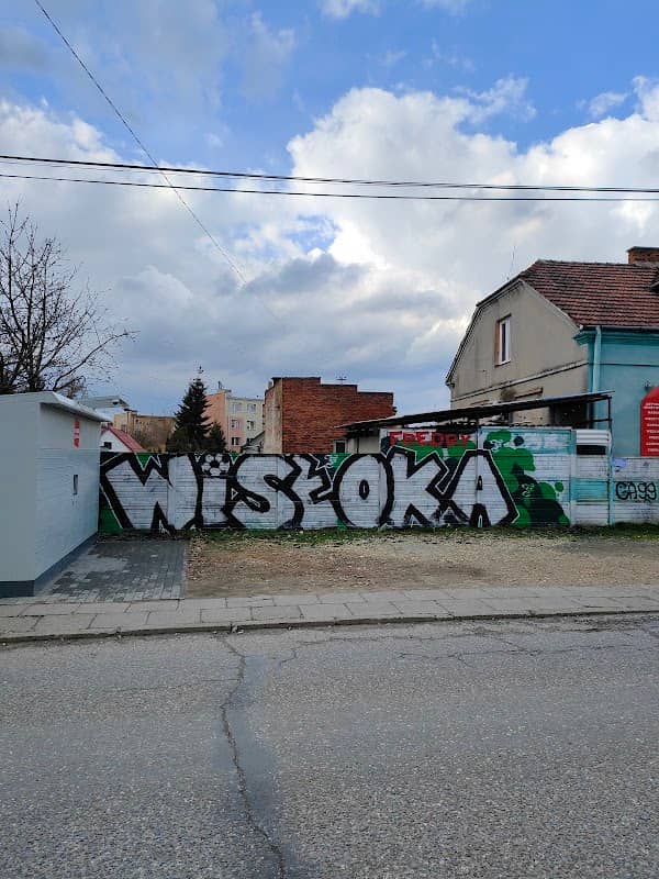 Wisłoka Mural - Image 1