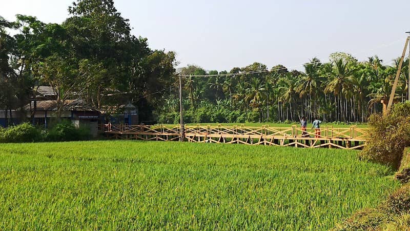 Thaikattussery Vallachira Padam - Image 1