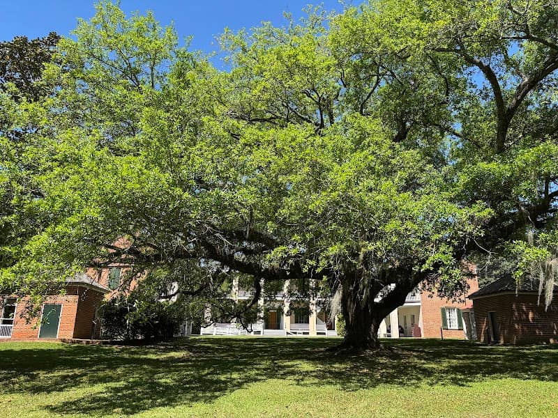 Natchez National Historical Park - Image 3