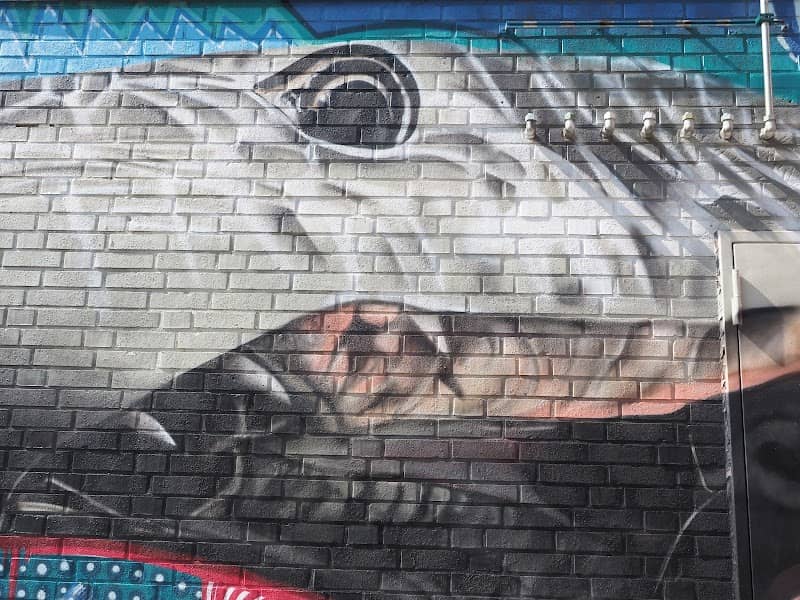 Streetart by CokyOne - Image 1