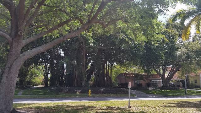 West Blalock Park - Image 3