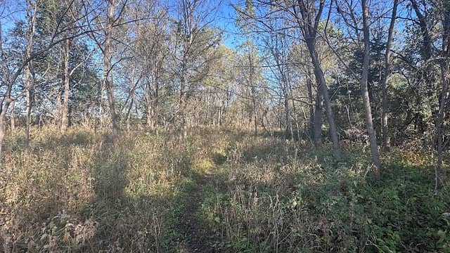 Cedar Island Wildlife Area - Image 1