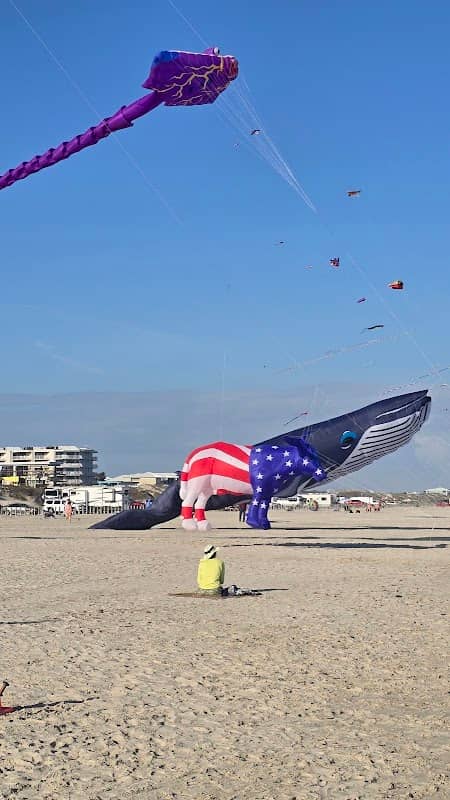 Port Aransas Beach - Image 3