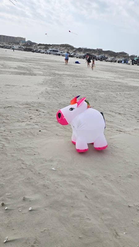 Port Aransas Beach - Image 2