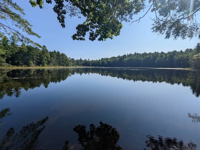 Hickok Brook Multiple Use Area - Image 2