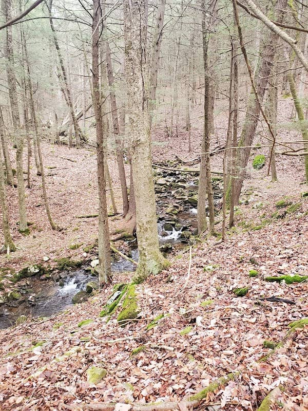 Hickok Brook Multiple Use Area - Image 1