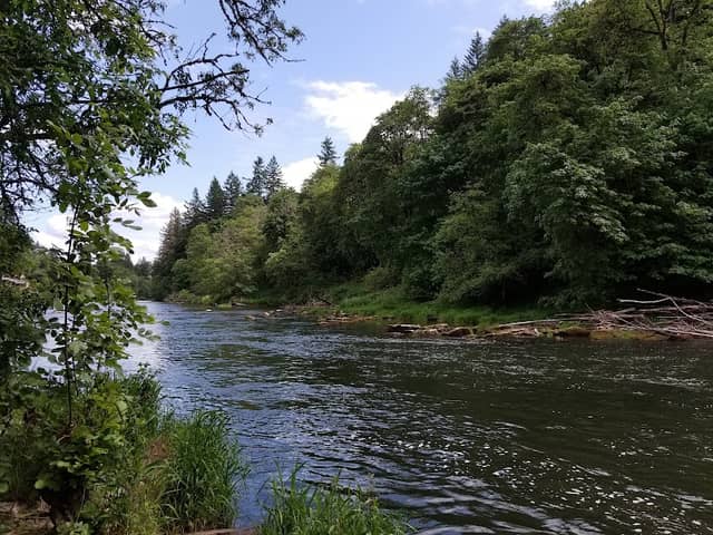 Fields Bridge Park - Image 1