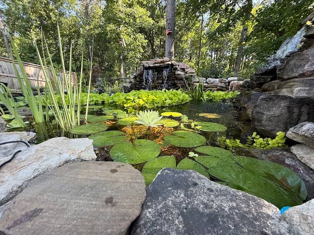 The Pond at Brookmore - Image 2