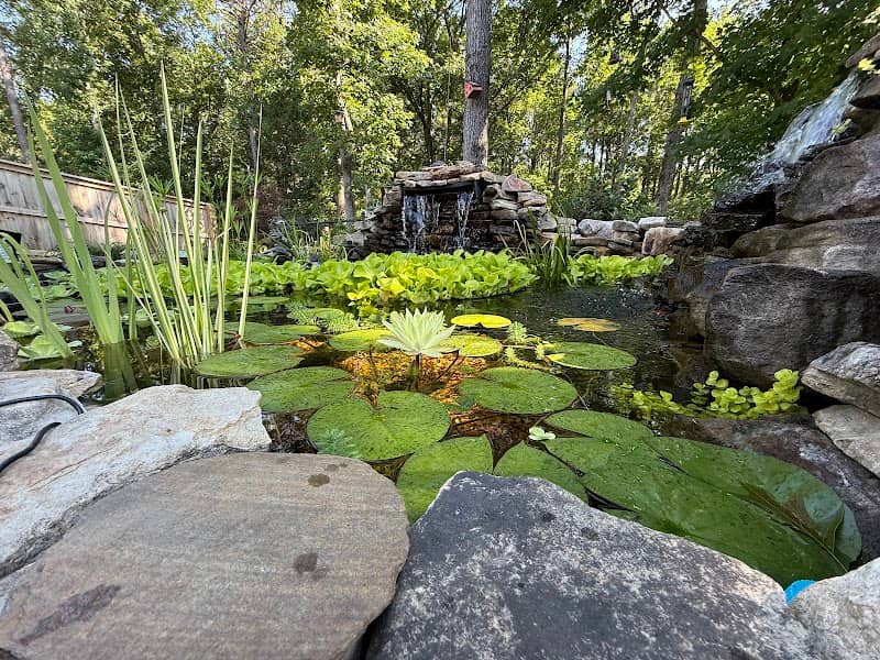 The Pond at Brookmore - Image 1