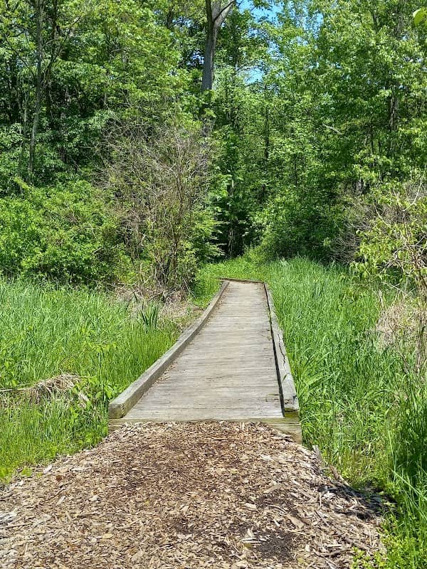 Rye Community Park - Image 2