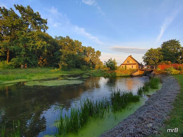 Tama na Kłodawie - Image 1