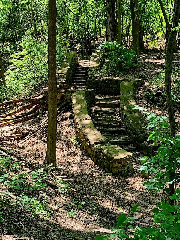 Sanctuary Woods - Image 2