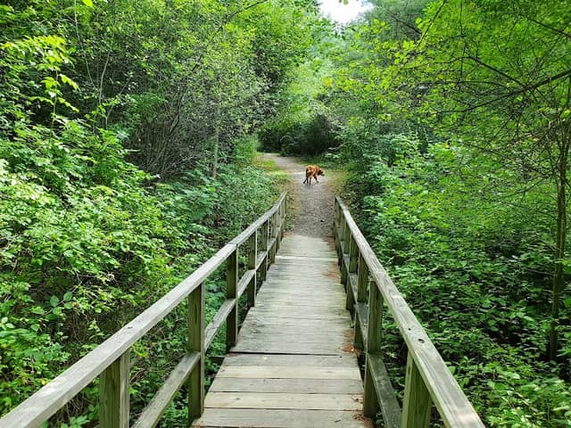 Portland Trails Trailhead st Landing Road (Westbrook) - Image 2