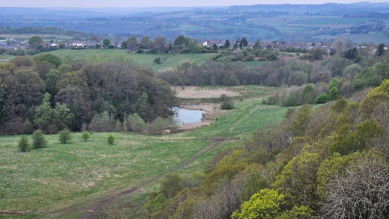 Hownsgill Pond and Wetland - Image 1
