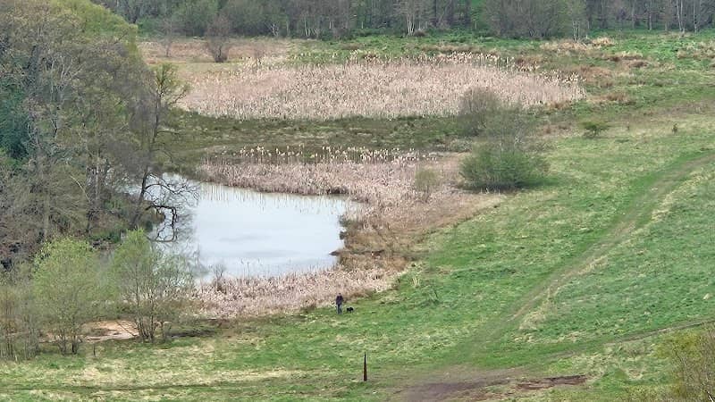 Hownsgill Pond and Wetland - Image 2