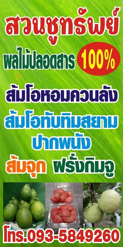 สวนชูทรัพย์ - Image 1