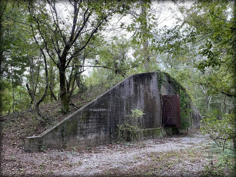 Woodlands Conservancy’s Woodlands Trail - Image 1