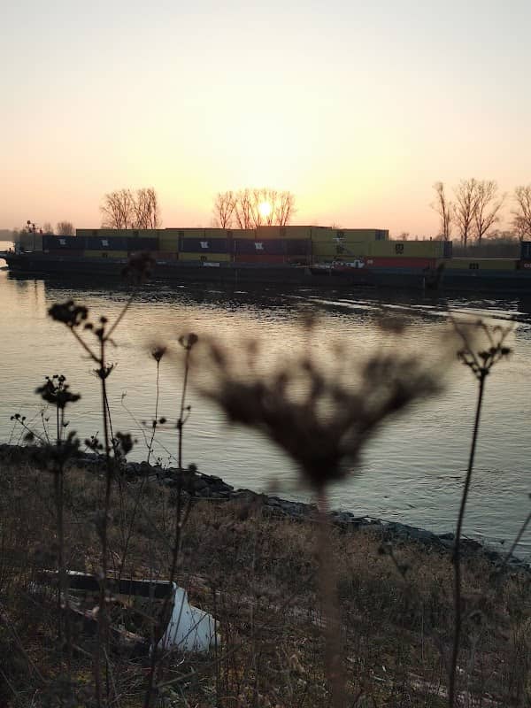 Ausblick Rheinbogen - Image 1