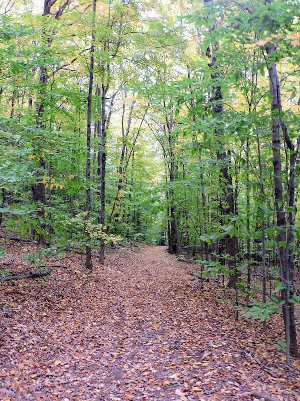 Walnut Mountain Park - Image 1