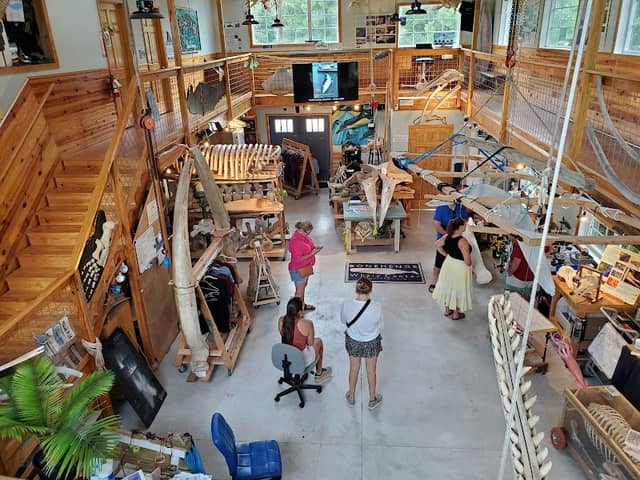 Bonehenge Whale Center - Image 3