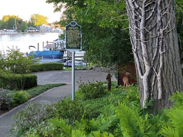Saugatuck-Douglas History Museum - Image 1