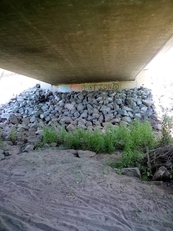 Del Oso Oro Bridge - Image 2