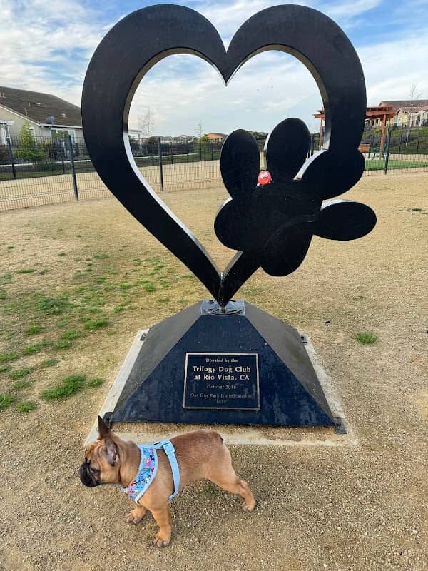 Trilogy at Rio Vista Dog Park - Image 2