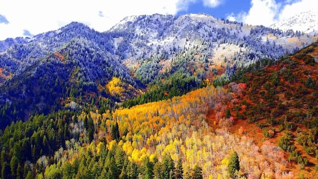 Big Cottonwood Canyon - Image 1