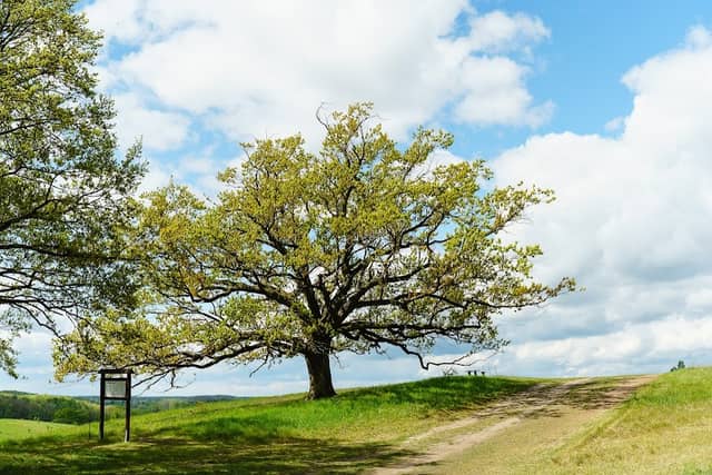 Aussicht Naturschutzgebiet Buckowseerinne - Image 1