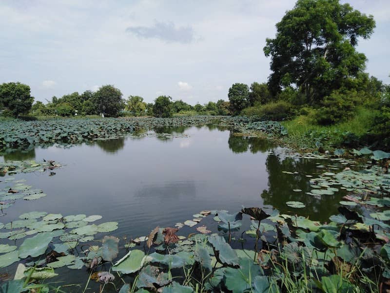สวนสาธารณะวัดเกาะกลาง - Image 1