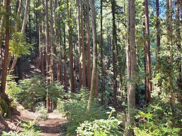 Teague Hill Open Space Preserve - Image 2